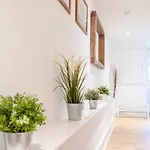 A Hidden Gem - Summer Bliss Near Roundhay Park - Pass The Keys * Leeds (West Yorkshire)
