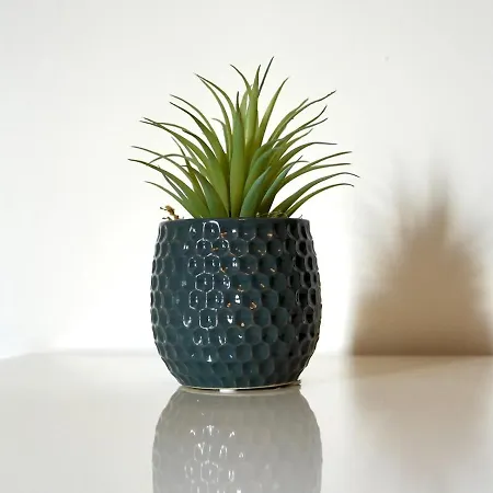 A Hidden Gem - Summer Bliss Near Roundhay Park - Pass The Keys