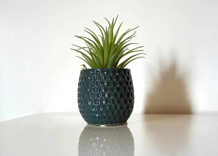 A Hidden Gem - Summer Bliss Near Roundhay Park - Pass The Keys